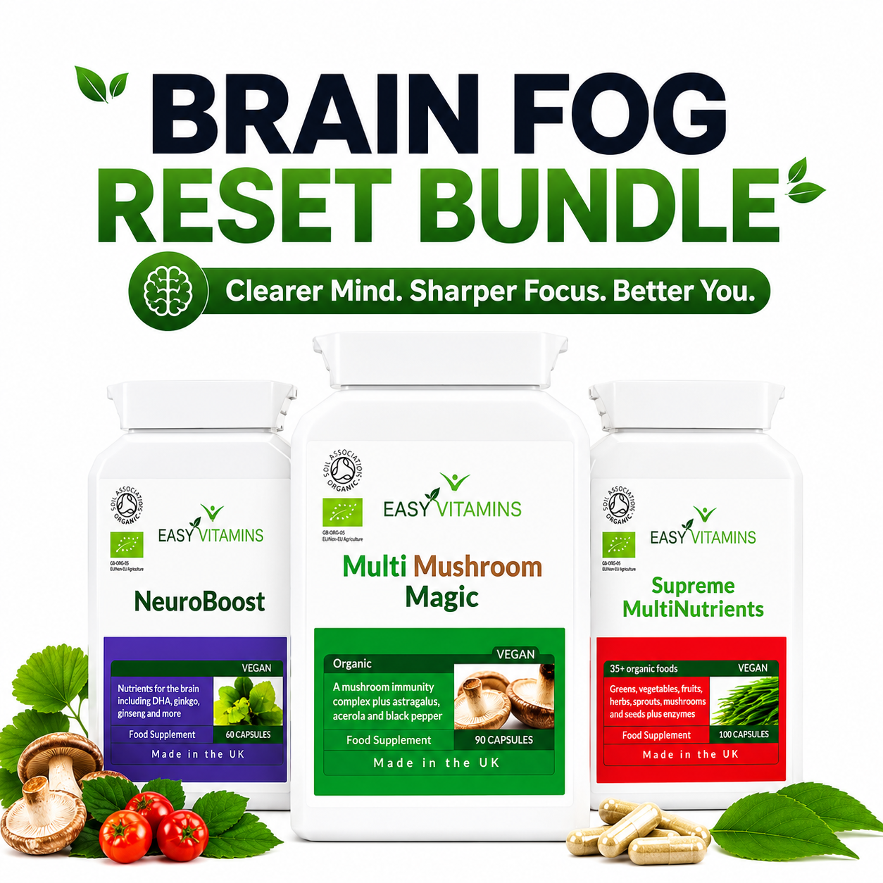 Brain Fog Reset