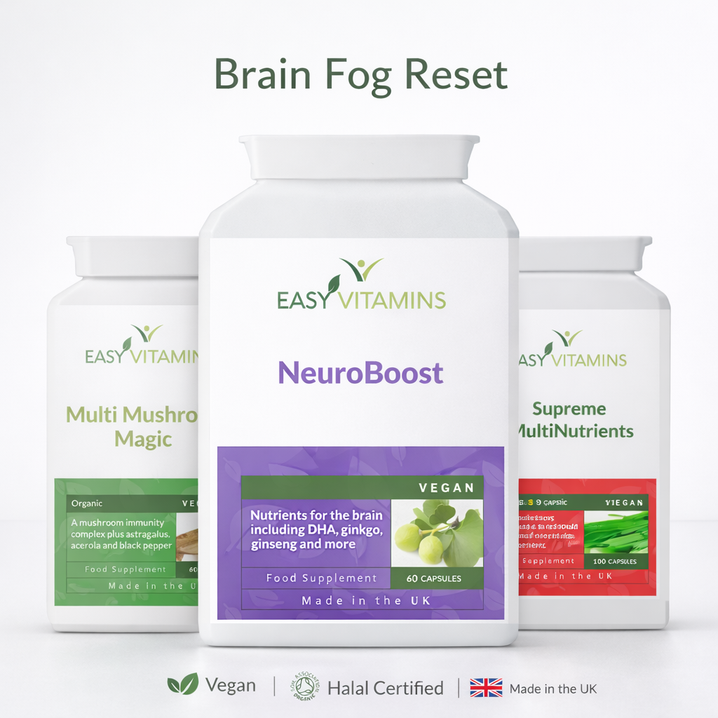 Brain Fog Reset