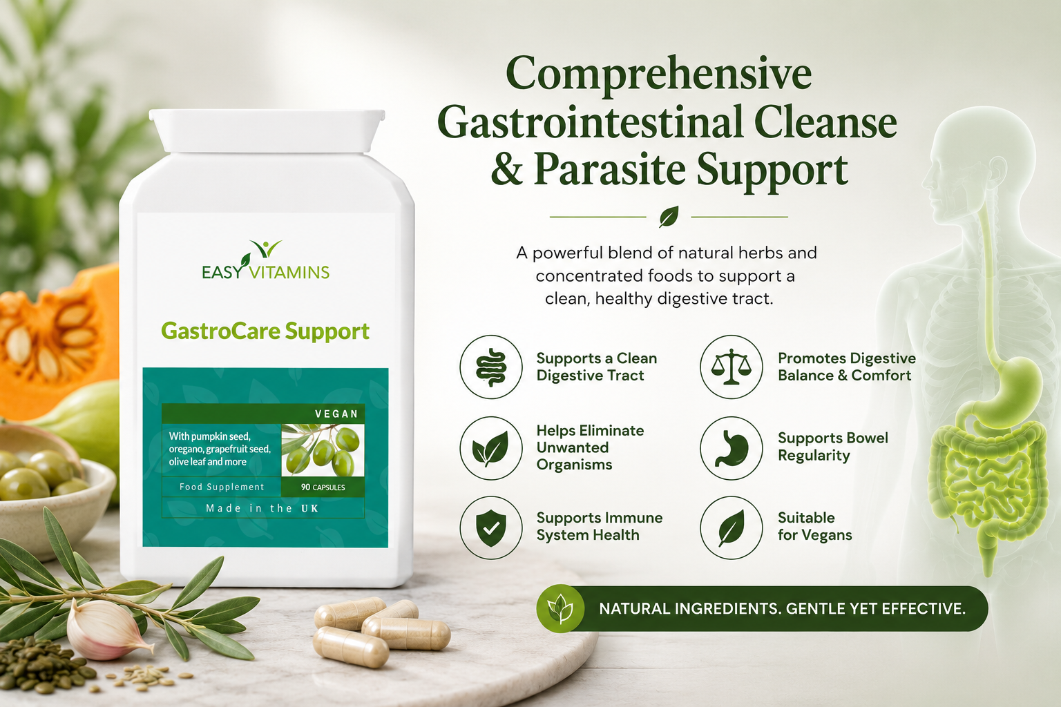 GastroCare Support