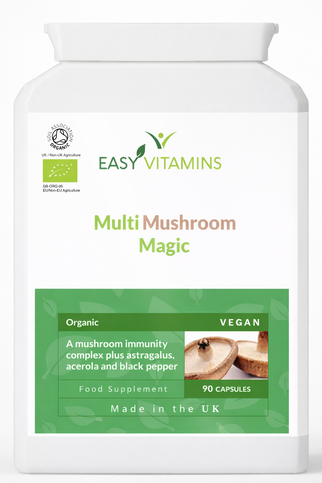 Focus & Study Stack Bundle