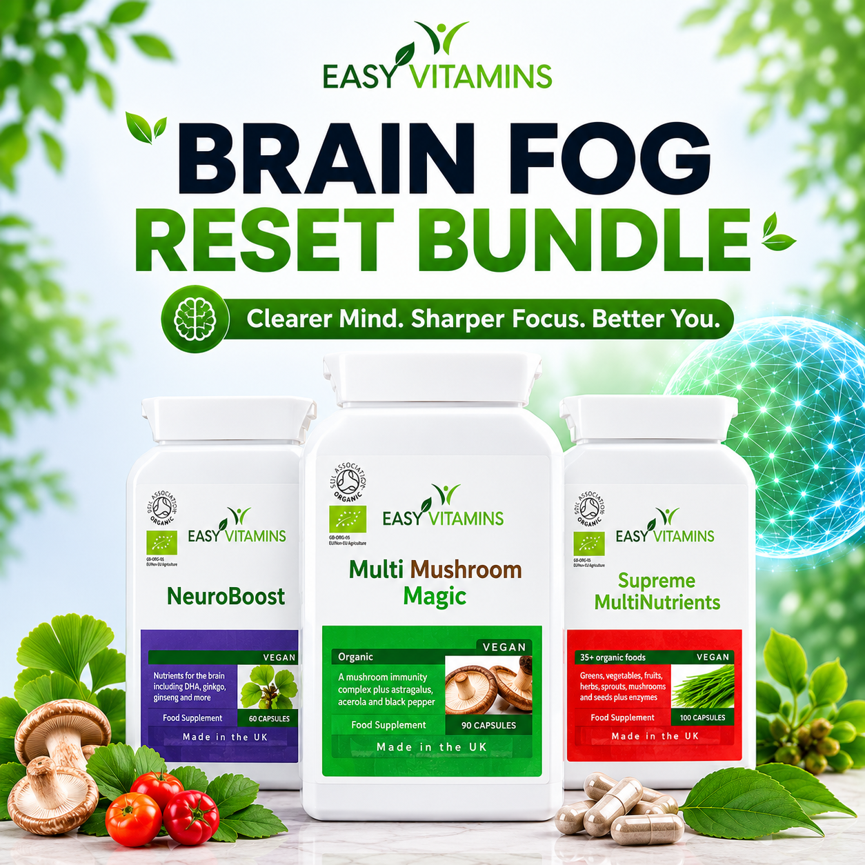 Brain Fog Reset