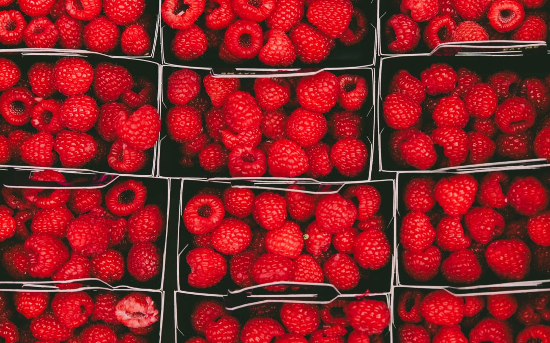 Gојі Веrry blog