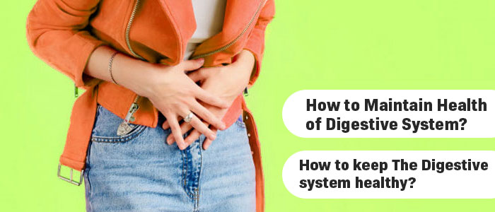 How to Maintain Health of Digestive System?